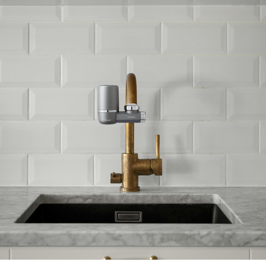 O'Evea Wasserfilter + 8-Action-Filterkartusche 